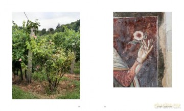 Caring for the Countryside: The Prosecco Hills of Conegliano and Valdobbiadene - Ginevra Lamberti [KSIĄŻKA]