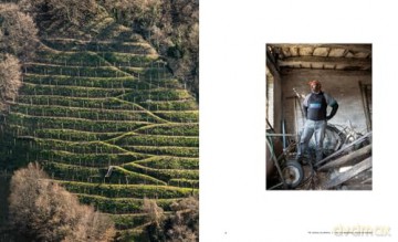 Caring for the Countryside: The Prosecco Hills of Conegliano and Valdobbiadene - Ginevra Lamberti [KSIĄŻKA]