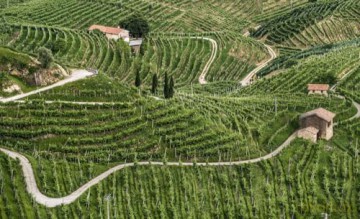 Caring for the Countryside: The Prosecco Hills of Conegliano and Valdobbiadene - Ginevra Lamberti [KSIĄŻKA]