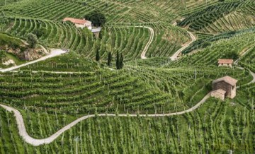 Caring for the Countryside: The Prosecco Hills of Conegliano and Valdobbiadene - Ginevra Lamberti [KSIĄŻKA]