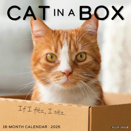 Cat in a Box 2025 Wall [KSIĄŻKA]