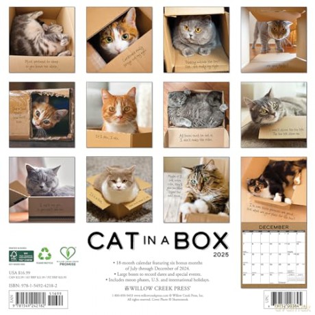 Cat in a Box 2025 Wall [KSIĄŻKA]