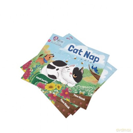 Cat Nap: Phase 2 Set 3 (Big Cat Phonics for Little Wandle Letters and Sounds Revised) - Inbali Iserles [KSIĄŻKA]