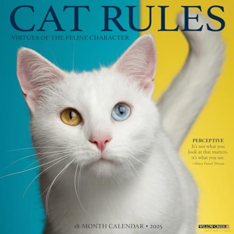 Cat Rules 2025 Wall [KSIĄŻKA]
