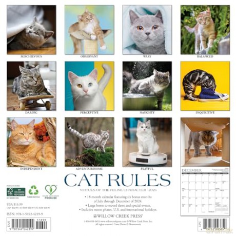 Cat Rules 2025 Wall [KSIĄŻKA]