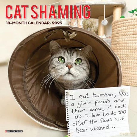 Cat Shaming 2025 Wall [KSIĄŻKA]
