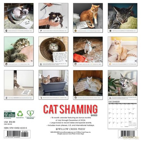 Cat Shaming 2025 Wall [KSIĄŻKA]
