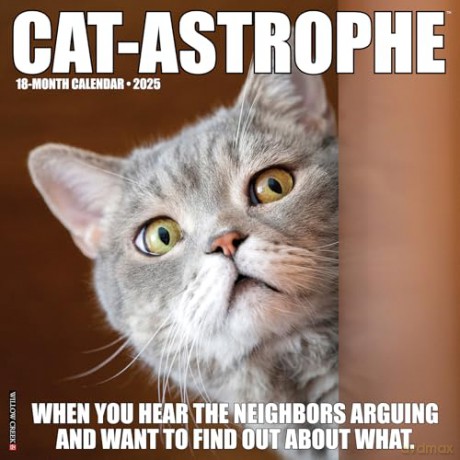 Cat-astrophe 2025 Wall [KSIĄŻKA]