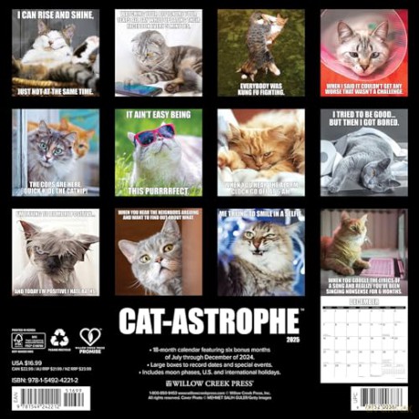 Cat-astrophe 2025 Wall [KSIĄŻKA]