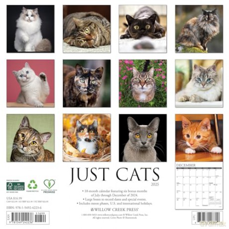 Cats 2025 Wall [KSIĄŻKA]