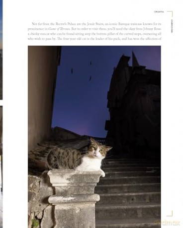 Cats of the World: TK - Hannah Shaw [KSIĄŻKA]