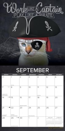 Catspirations 2025 Wall [KSIĄŻKA]