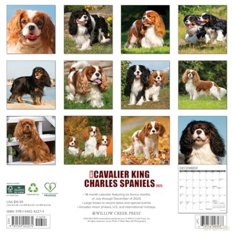 Cavalier King Charles Spaniels [KSIĄŻKA]
