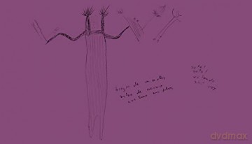 Cecilia Vicuna: Deer Book - Cecilia Vicuna [KSIĄŻKA]