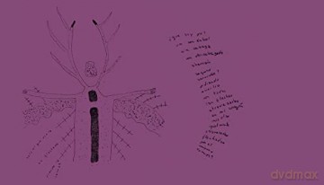 Cecilia Vicuna: Deer Book - Cecilia Vicuna [KSIĄŻKA]