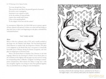 Celtic Tree Alphabets: Mystic Signs and Symbols of Ogham and Coelbren - Nigel Pennick [KSIĄŻKA]