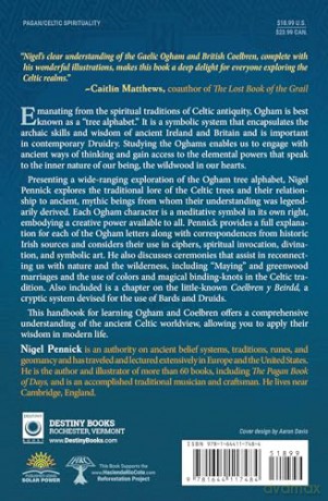 Celtic Tree Alphabets: Mystic Signs and Symbols of Ogham and Coelbren - Nigel Pennick [KSIĄŻKA]