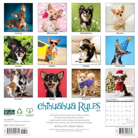 Chihuahua Rules 2025 Wall [KSIĄŻKA]