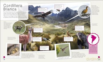 Children's Illustrated Atlas Collection (Children's Illustrated Atlases) [KSIĄŻKA]