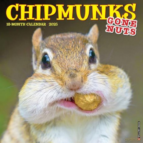 Chipmunks (Gone Nuts!) 2025 Wall [KSIĄŻKA]