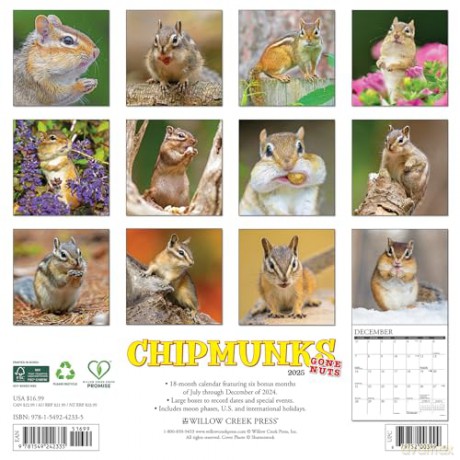 Chipmunks (Gone Nuts!) 2025 Wall [KSIĄŻKA]