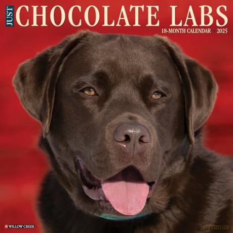 Chocolate Labs 2025 Wall [KSIĄŻKA]