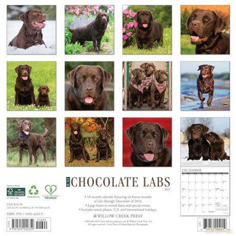Chocolate Labs 2025 Wall [KSIĄŻKA]