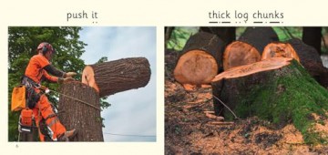 Chop and Chip: Phase 2 Set 5 Blending practice (Big Cat Phonics for Little Wandle Letters and Sounds Revised) - Caroline Green [KSIĄŻKA]