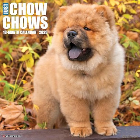 Chow Chows 2025 Wall [KSIĄŻKA]