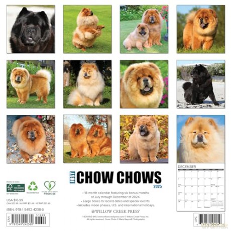 Chow Chows 2025 Wall [KSIĄŻKA]