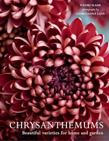 CHRYSANTHEMUMS HB: Beautiful varieties for home and garden - Naomi Slade [KSIĄŻKA]