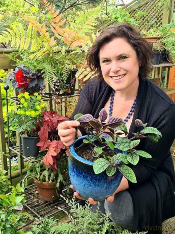 CHRYSANTHEMUMS HB: Beautiful varieties for home and garden - Naomi Slade [KSIĄŻKA]