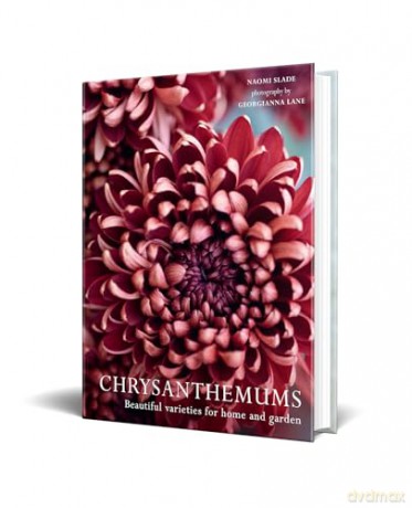 CHRYSANTHEMUMS HB: Beautiful varieties for home and garden - Naomi Slade [KSIĄŻKA]