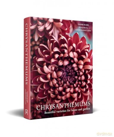 CHRYSANTHEMUMS HB: Beautiful varieties for home and garden - Naomi Slade [KSIĄŻKA]