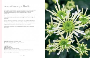 CHRYSANTHEMUMS HB: Beautiful varieties for home and garden - Naomi Slade [KSIĄŻKA]