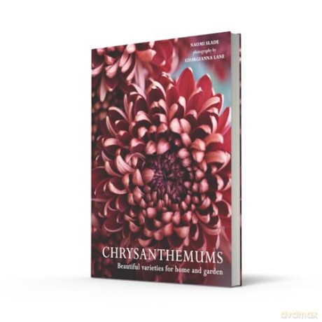 CHRYSANTHEMUMS HB: Beautiful varieties for home and garden - Naomi Slade [KSIĄŻKA]
