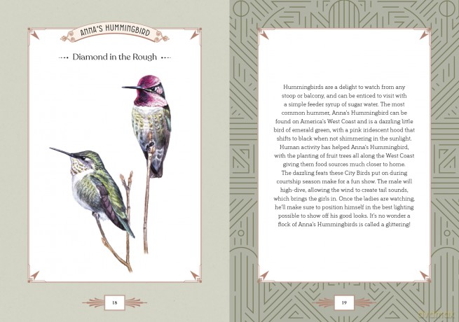City Bird: Explore the Charming Metropolitan Melodies of Our Feathered Friends - Angela Harrison Vinet [KSIĄŻKA]