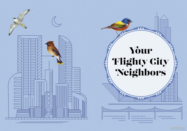 City Bird: Explore the Charming Metropolitan Melodies of Our Feathered Friends - Angela Harrison Vinet [KSIĄŻKA]