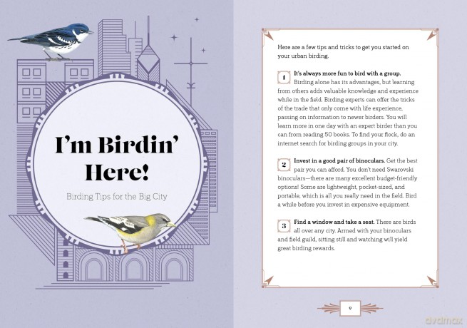 City Bird: Explore the Charming Metropolitan Melodies of Our Feathered Friends - Angela Harrison Vinet [KSIĄŻKA]