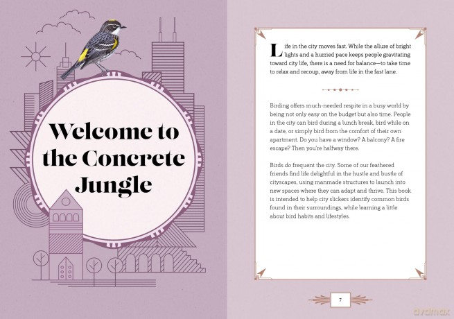 City Bird: Explore the Charming Metropolitan Melodies of Our Feathered Friends - Angela Harrison Vinet [KSIĄŻKA]