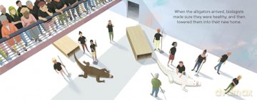 Claude: The True Story of a White Alligator - Smith [KSIĄŻKA]