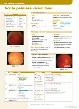 Clinical Specialties, MLA edition: medical student revision guide - Rebecca Richardson [KSIĄŻKA]