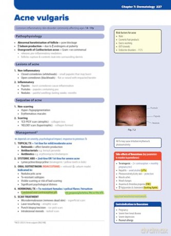 Clinical Specialties, MLA edition: medical student revision guide - Rebecca Richardson [KSIĄŻKA]