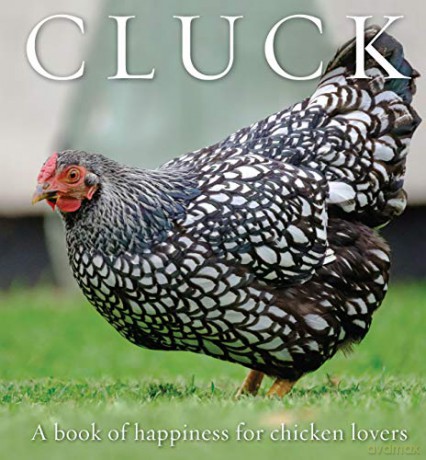 Cluck: A Book of Happiness for Chicken Lovers (Animal Happiness) - Freya Haanen [KSIĄŻKA]