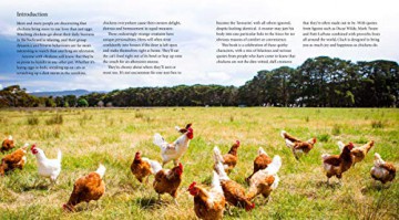 Cluck: A Book of Happiness for Chicken Lovers (Animal Happiness) - Freya Haanen [KSIĄŻKA]