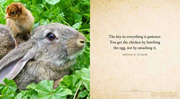 Cluck: A Book of Happiness for Chicken Lovers (Animal Happiness) - Freya Haanen [KSIĄŻKA]