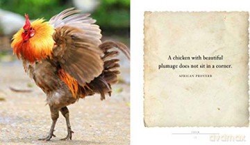 Cluck: A Book of Happiness for Chicken Lovers (Animal Happiness) - Freya Haanen [KSIĄŻKA]