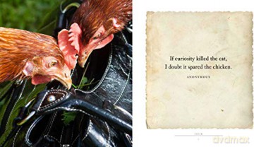 Cluck: A Book of Happiness for Chicken Lovers (Animal Happiness) - Freya Haanen [KSIĄŻKA]