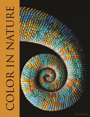 Color in Nature - Justin Marshall [KSIĄŻKA]