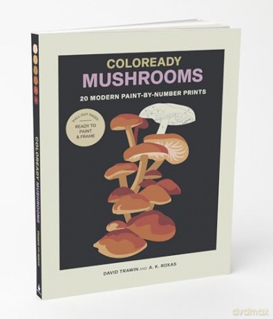 Coloready Mushrooms: 20 Modern Paint-by-Number Prints - A.K. Roxas [KSIĄŻKA]